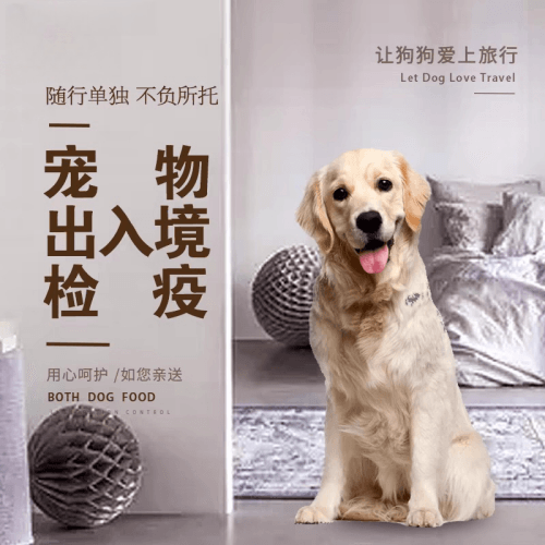 揭阳市宠物托运到哥伦比亚猫狗宠物入境规定和