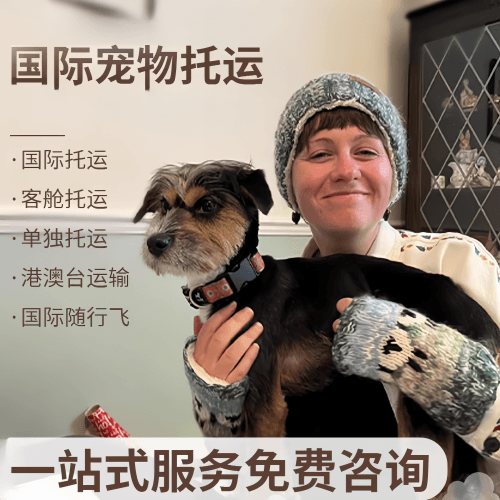 揭阳市国际宠物托运到阿根廷宠物入境规定和要