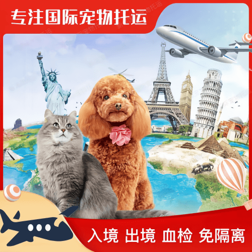 揭阳市宠物托运到美国宠物入境最新规定和要求