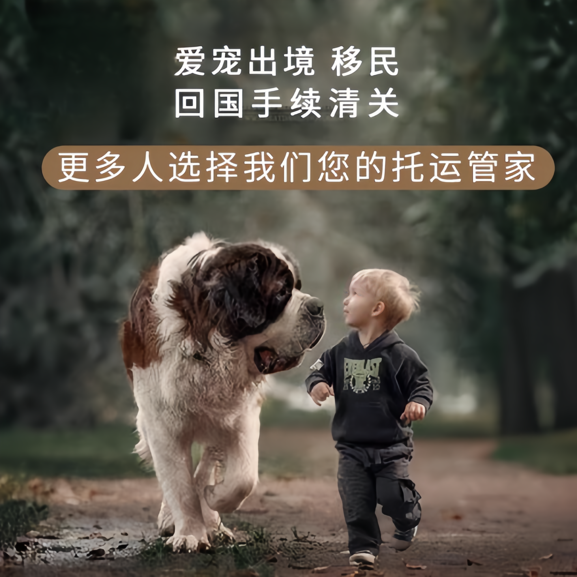 满财揭阳市宠物全球达宠物托运在遵守入境目的地政策的条件