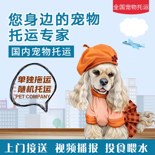 满财揭阳市宠物全球达宠物托运作为专业的宠物运输代理机构